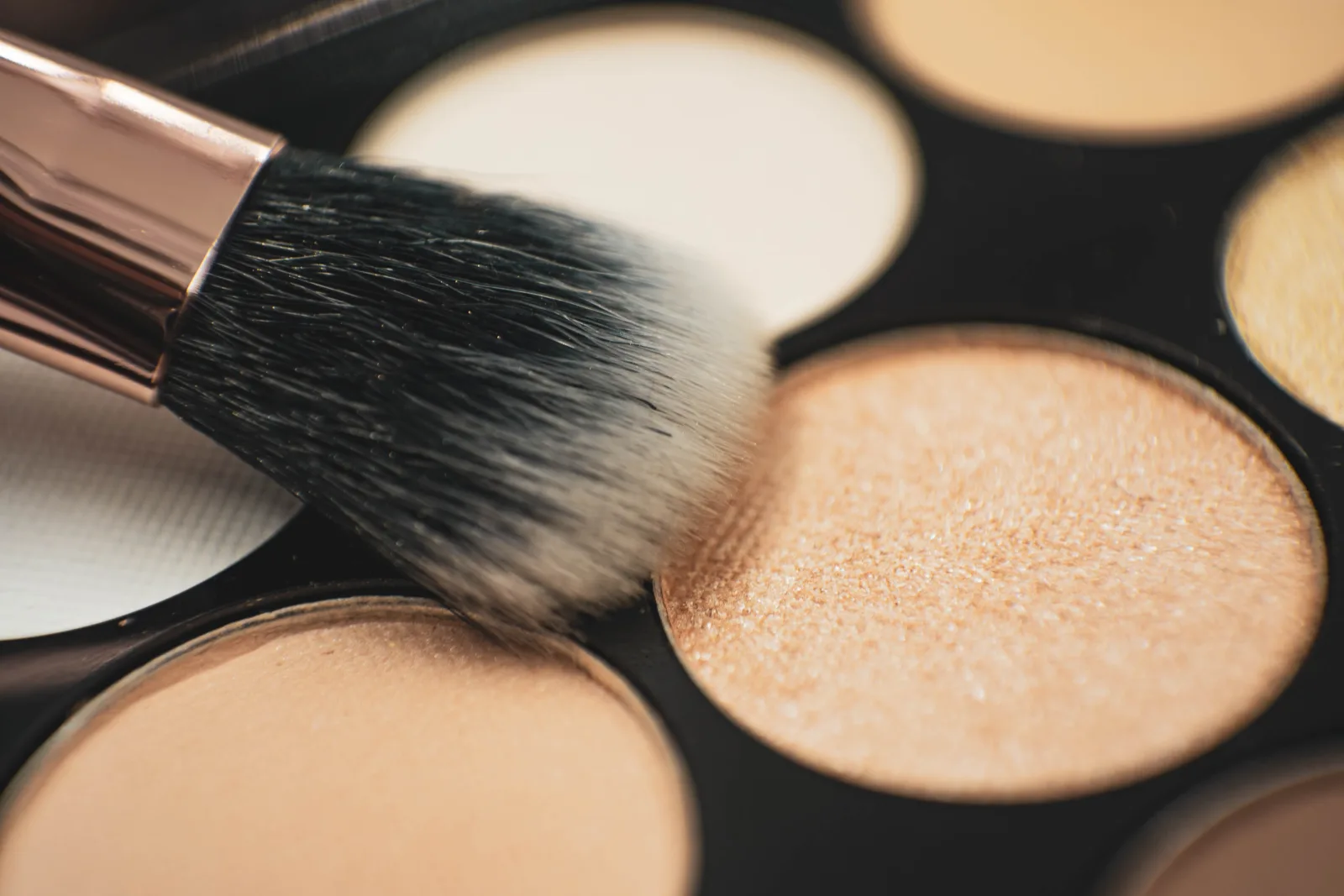 This close up shows an eyeshadow brush being dipped into a shimmery beige eyeshadow shade ready to be used to apply to the eye. We've chosen to release this photo under Creative Commons Attribution Licensing, which means we're more than happy for you to use it, but ask that you provide appropriate credit in the form of a link to our website geehair.com/