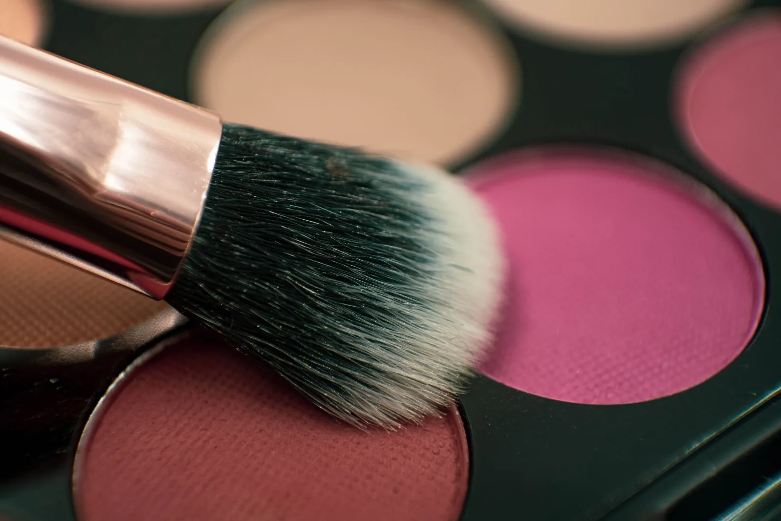 In this photo a makeup artist can be seen applying pink eyeshadow product to an eyeshadow brush. This photo has been released under Creative Commons Attribution Licensing, meaning we're more than happy for you to use it in any way you wish (horay!) All we ask is that you make sure you credit us if you do use this image. Doing this is easy, simply include a link to geehair.com/ alongside the photo anywhere you use it.