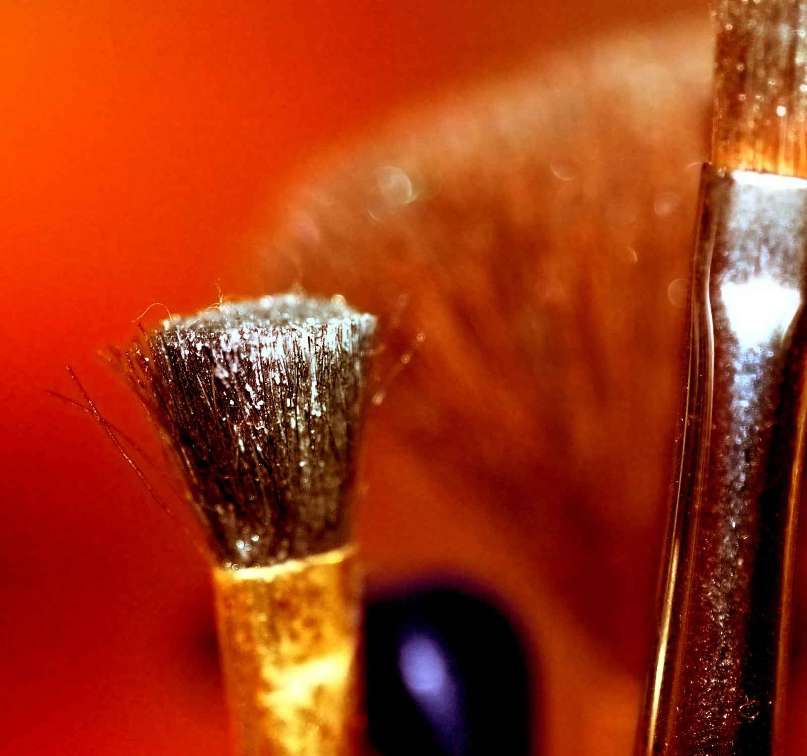 Photo of makeup brushes.