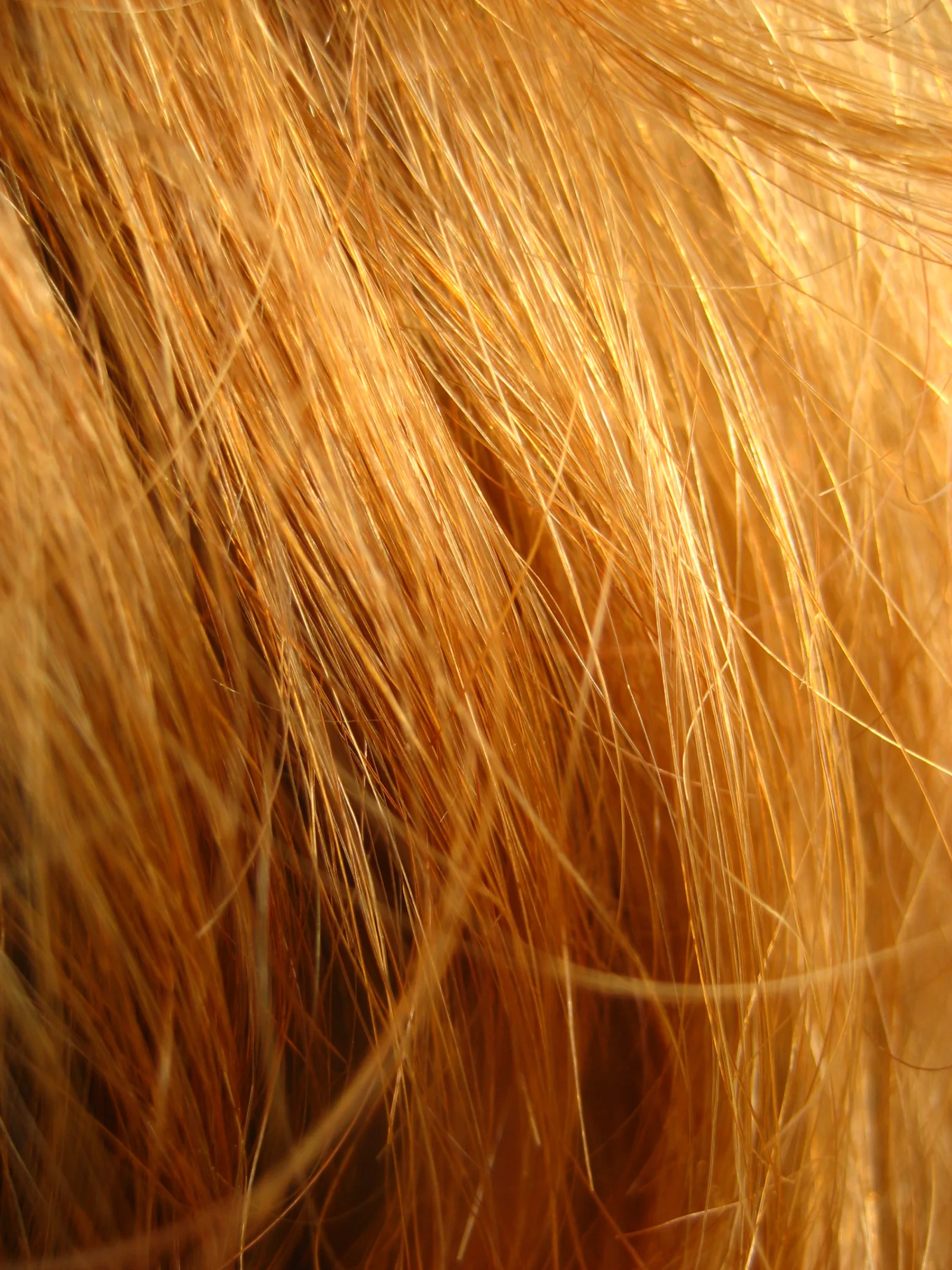 Red hair in close-upRedhead
