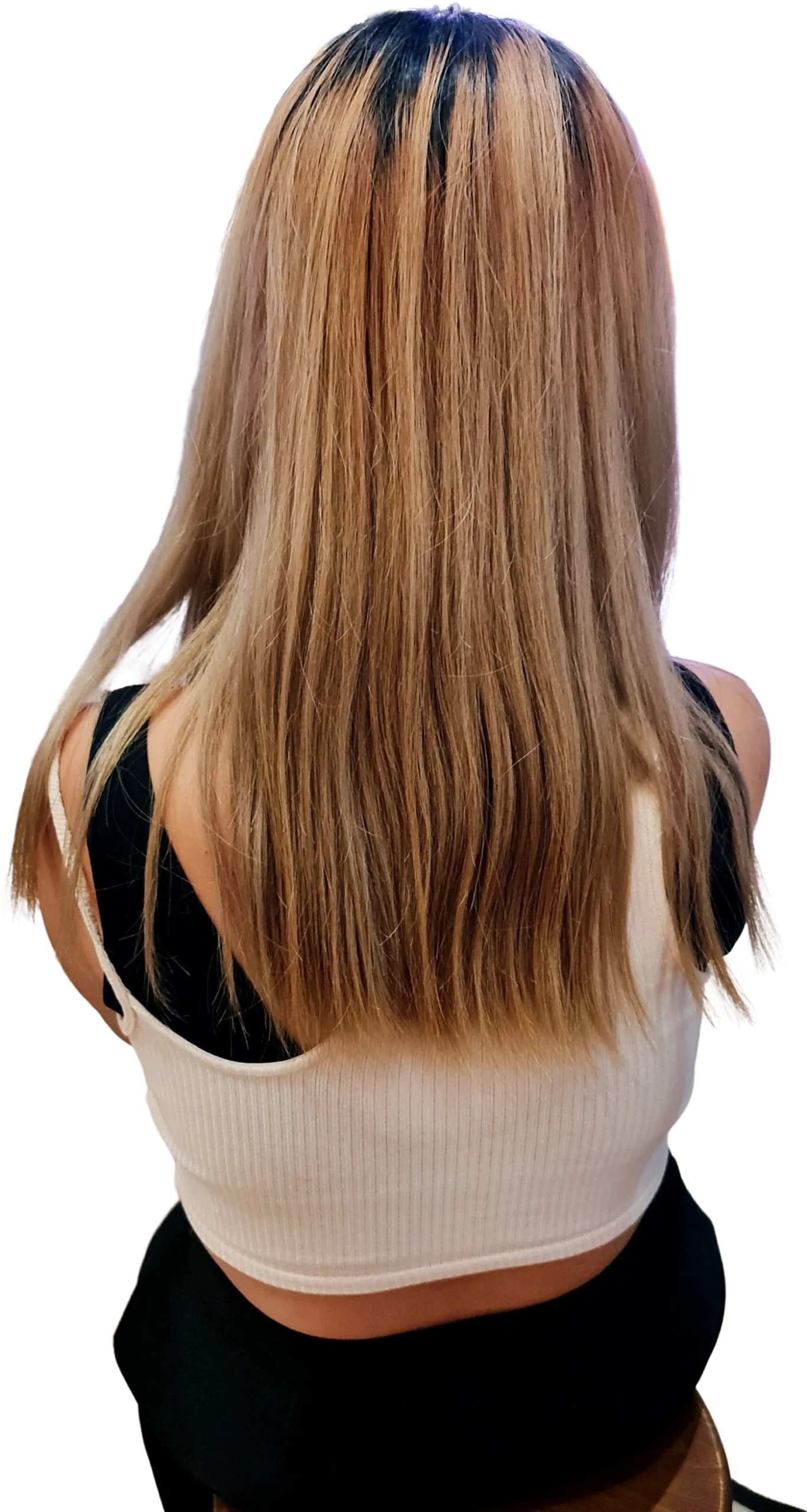 Woman with long blond hair, rear view