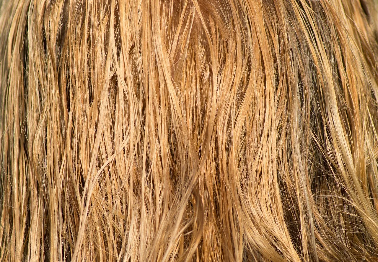 Farba do blond bez żółci - opinie z forum 2026