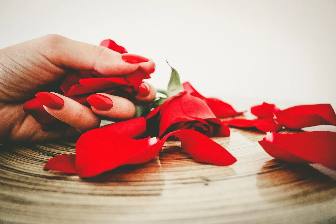 czerwony, paznokcie, moda, manicure, tapeta kwiatowa, manicure paznokci, kobieta, makijaż, przepych, kwiat róży, polskie, kolor, kwiat tło, lakier do paznokci, natura, róża, kwiaty, płatki, piękne kwiaty, elegancja, jasny