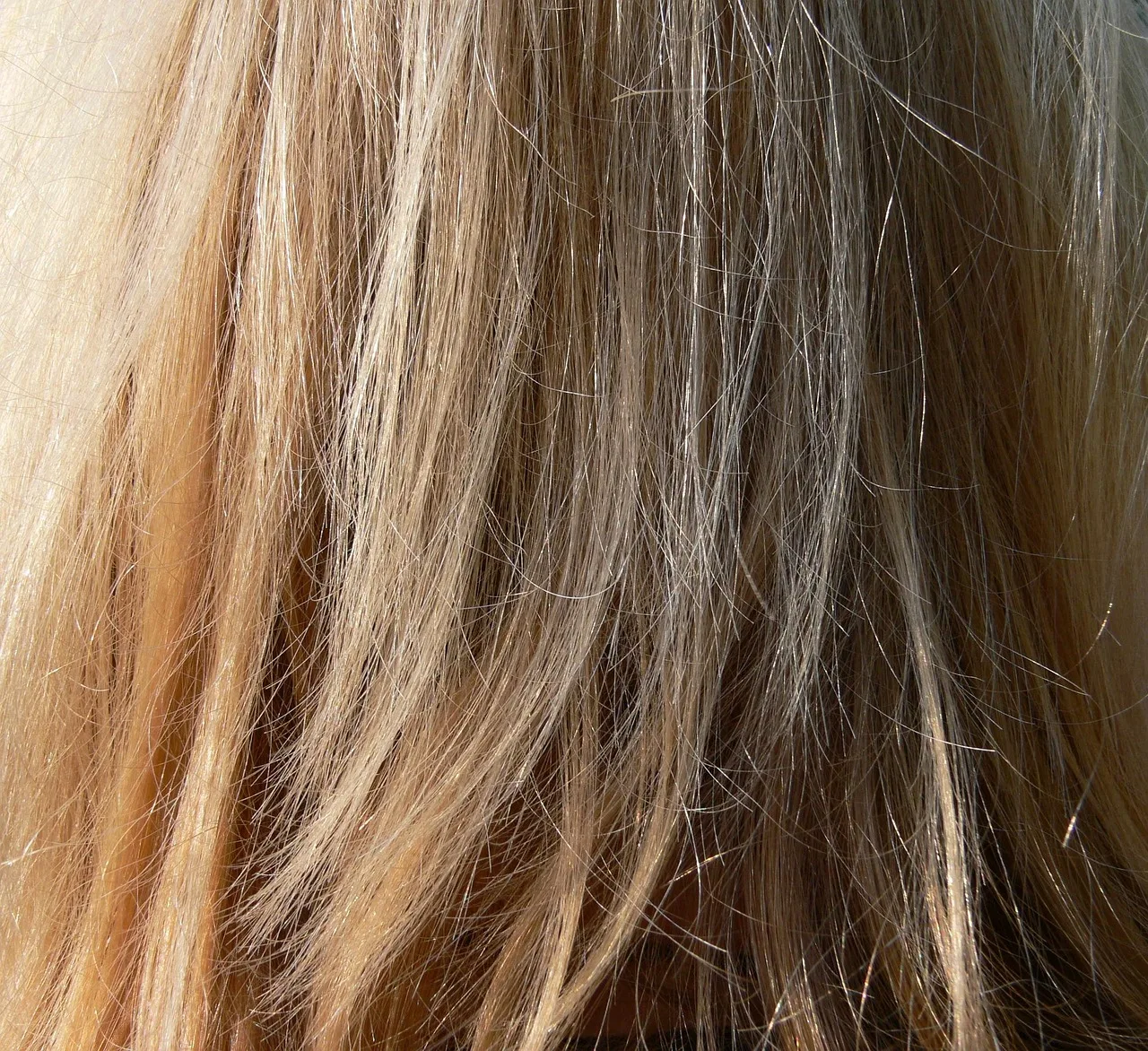 włosy, blond, długie włosy, wiatr, ścieśniać, rozczochrany, farbować, fryzjer salon piękności, kobieta, facet, grzebień, uciąć, miejsce, fryzura, locke, splot, dziewczynka, głowa