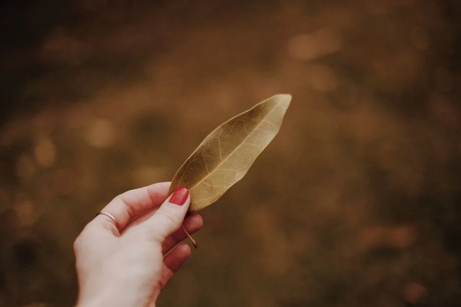 Close-up of a hand with a red nail holding a brown leaf, featuring a blurred autumnal background.