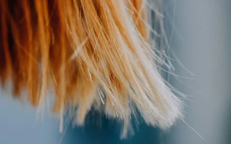 Złoty Miedziany Blond