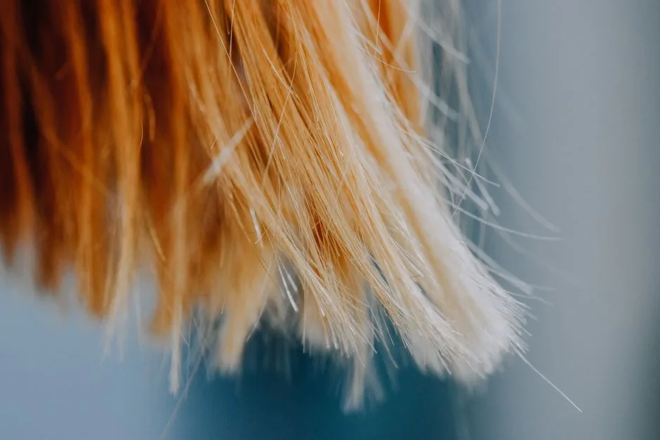 A detailed close-up of blonde hair strands with a soft and delicate focus, capturing the texture.