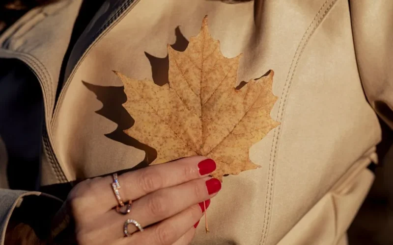 A woman holding a dried maple leaf against a tan coat. Manicured nails add a touch of elegance.