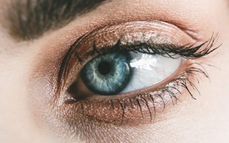 Detailed close-up of a woman's blue eye, showcasing makeup and eyelashes.